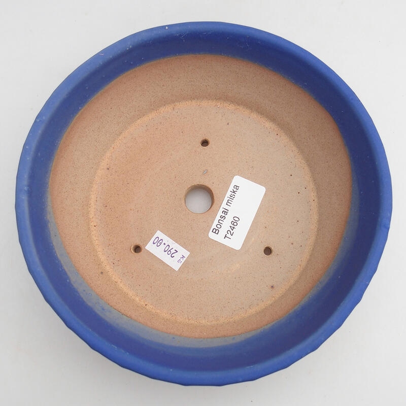 Bonsaischale aus Keramik 17,5 x 17,5 x 5 cm, Farbe blau