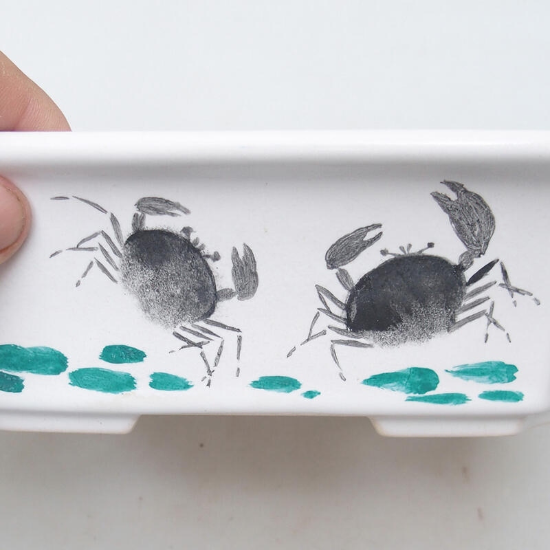 Bonsaischale aus Keramik 22 x 18 x 7 cm, weiß