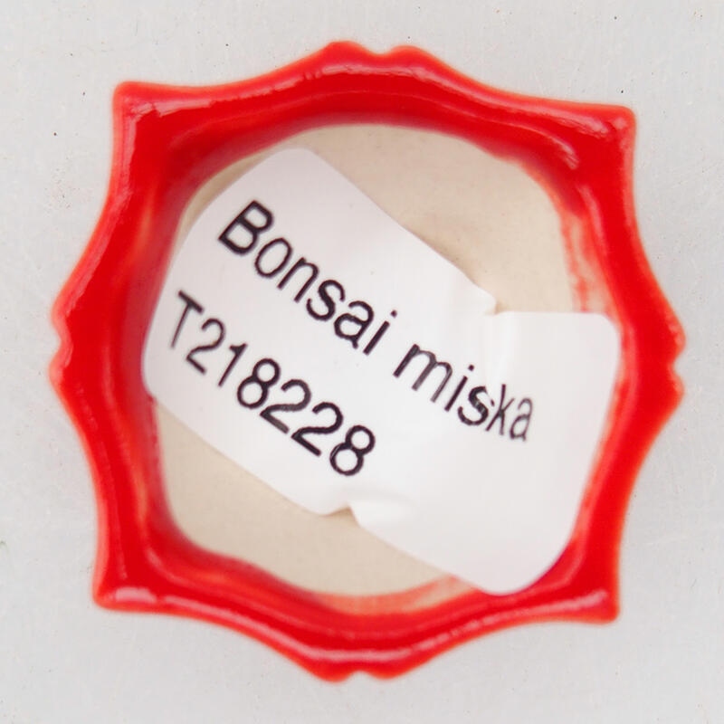 Bonsaischale aus Keramik 4 x 3,5 x 2 cm, Farbe rot