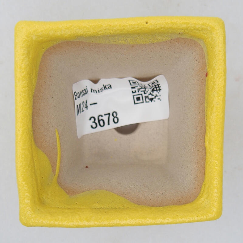 Bonsaischale aus Keramik 5,5 x 5,5 x 3,5 cm, gelb
