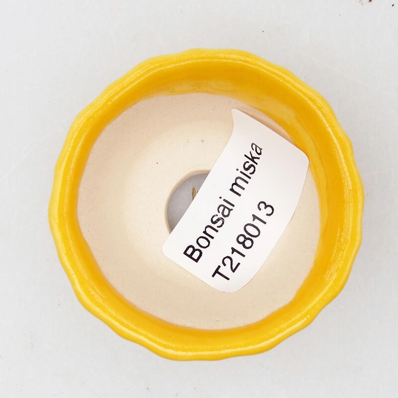 Bonsaischale aus Keramik 5,5 x 5,5 x 3 cm, gelb