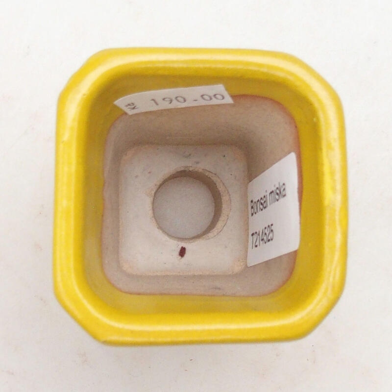 Bonsaischale aus Keramik 5,5 x 5,5 x 7 cm, gelb