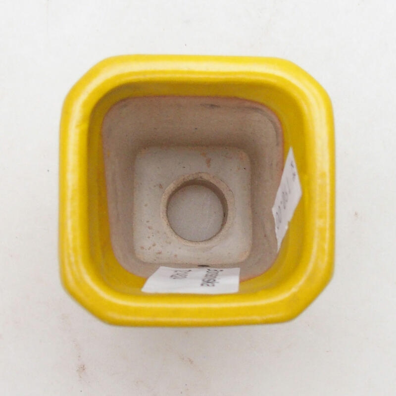 Bonsaischale aus Keramik 5,5 x 5,5 x 7 cm, gelb