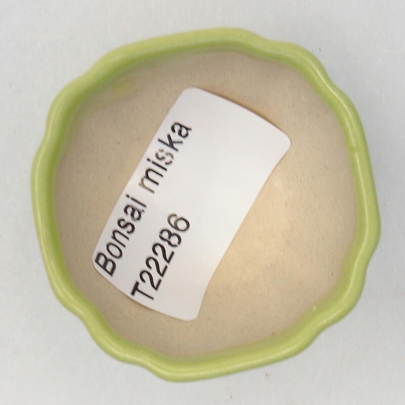 Bonsaischale aus Keramik 5 x 5 x 2,5 cm, grün
