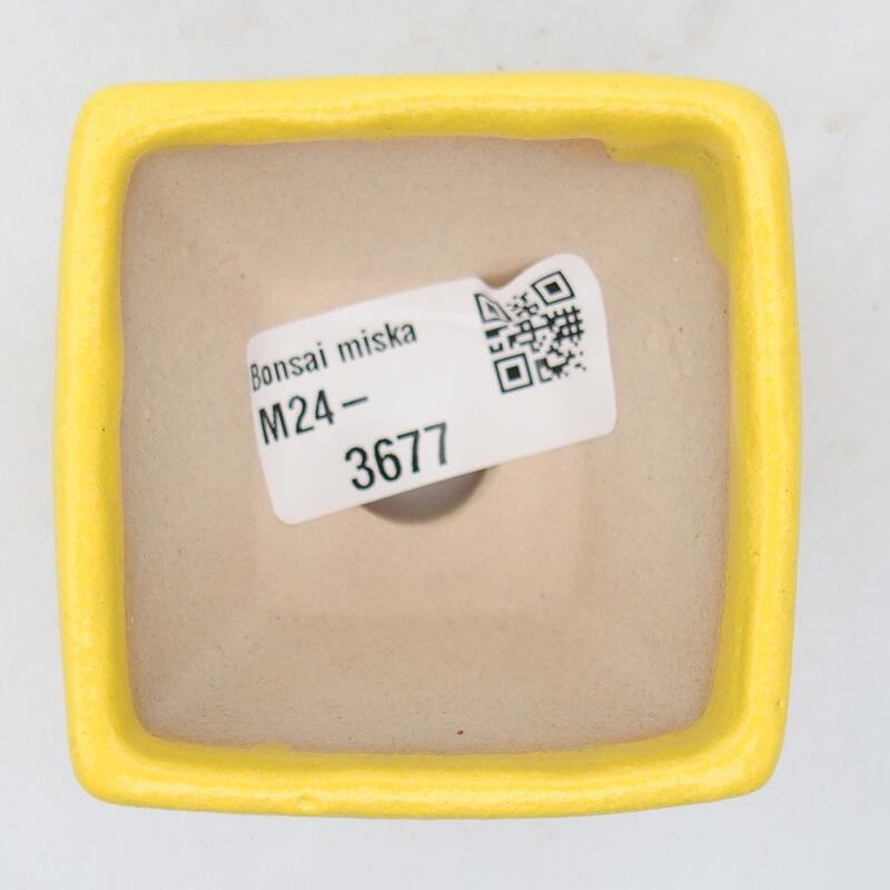Bonsaischale aus Keramik 6 x 6 x 4,5 cm, gelb