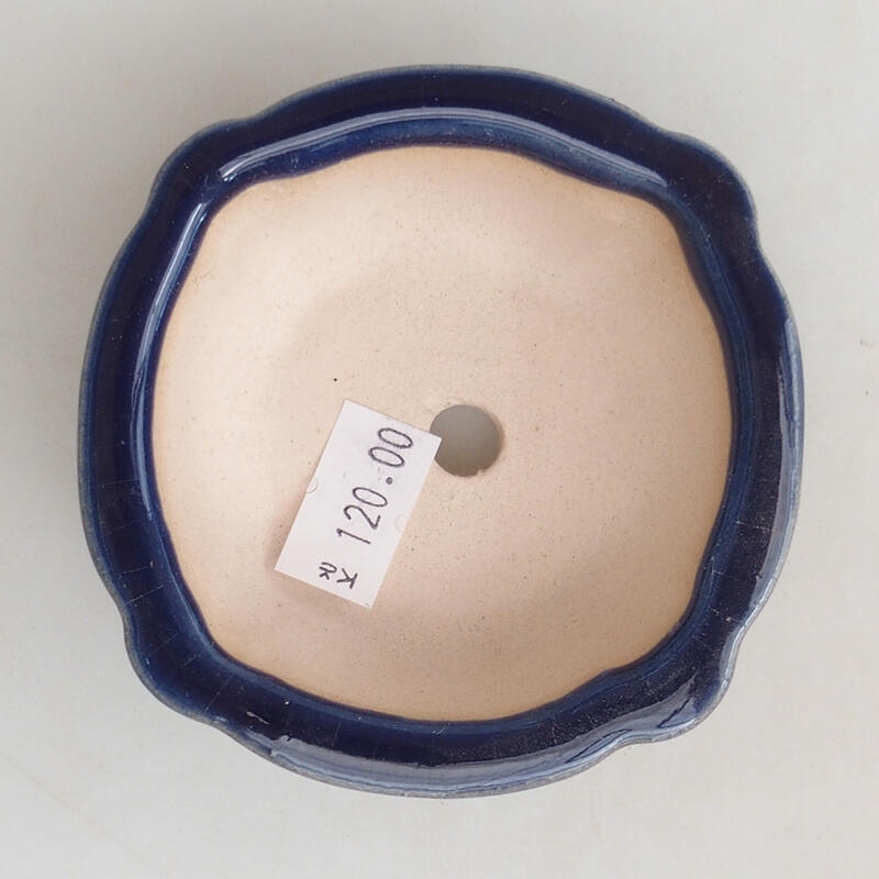 Bonsaischale aus Keramik 7,5 x 7,5 x 3 cm, Farbe blau