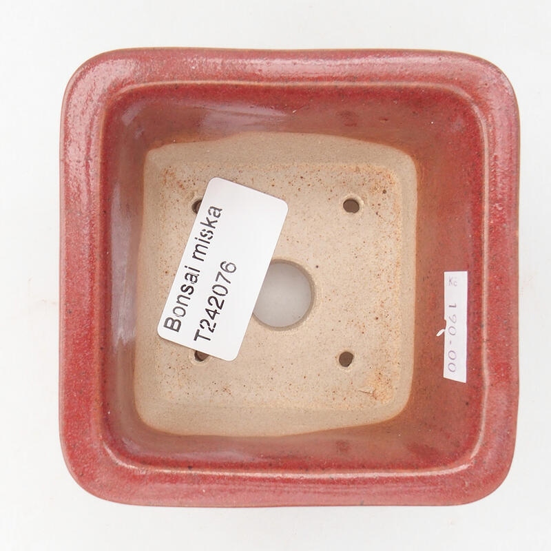 Bonsaischale aus Keramik 8,5 x 8,5 x 5,5 cm, bordeauxrot