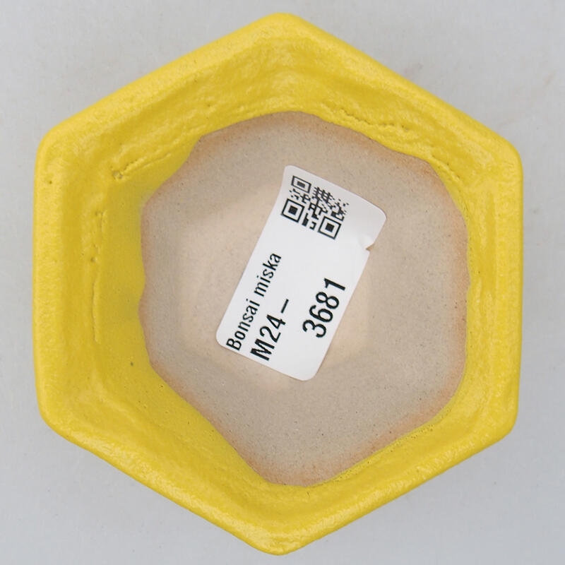 Bonsaischale aus Keramik 8 x 7,5 x 3 cm, gelb