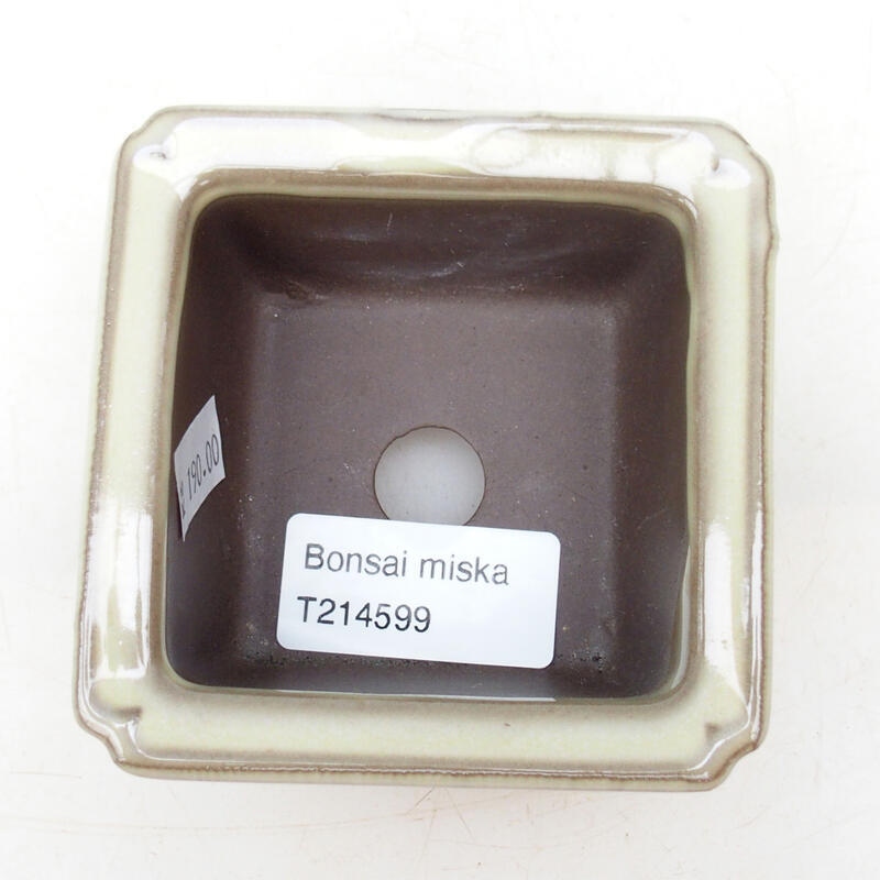 Bonsaischale aus Keramik 8 x 8 x 4,5 cm, Farbe beige