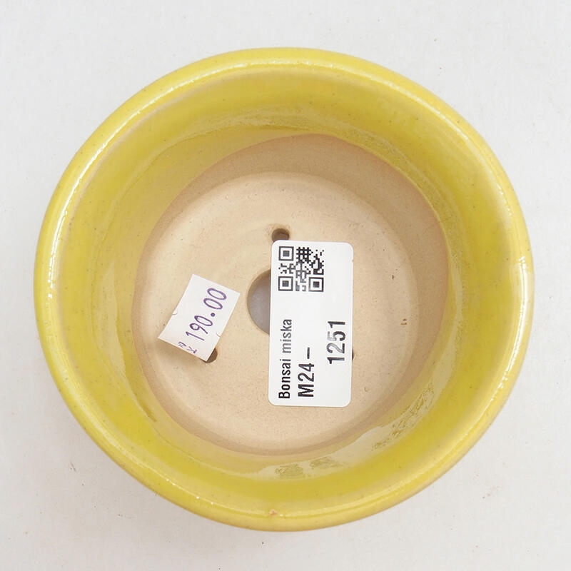 Bonsaischale aus Keramik 9,5 x 9,5 x 5,5 cm, gelb