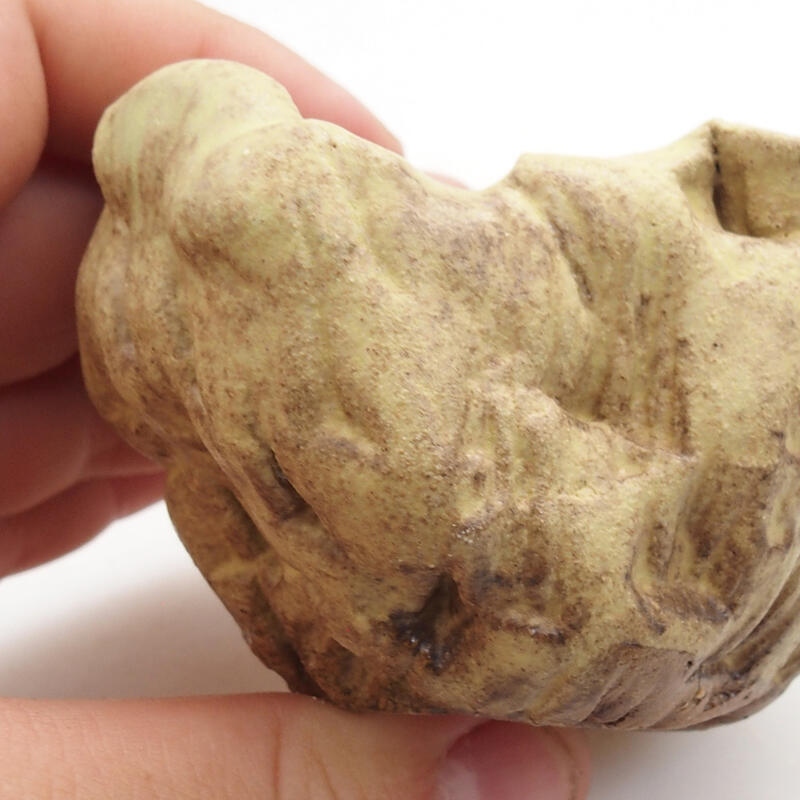 Keramische Muschel 5 x 5 x 5 cm , Farbe grün