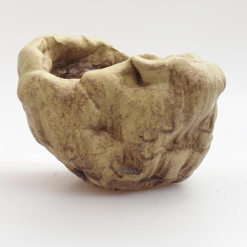 Keramische Muschel 5 x 5 x 5 cm , Farbe grün