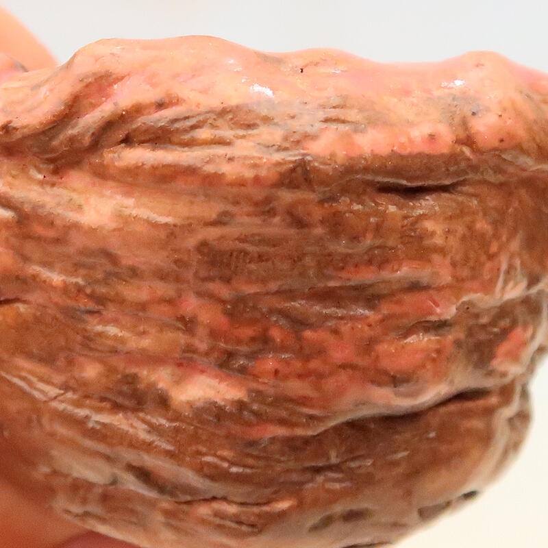 Keramische Muschel 5 x 5 x 6 cm , Farbe rosa