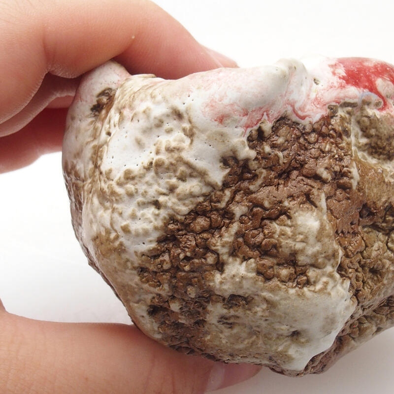 Keramische Muschel 6 x 5 x 6 cm , Farbe rot und weiß