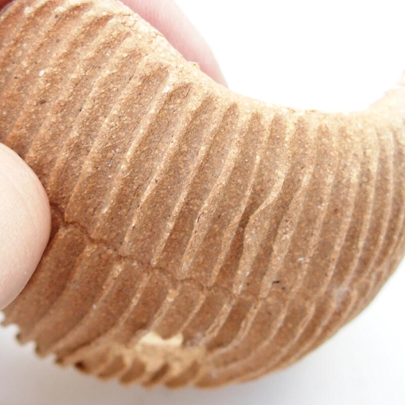 Keramikschale 7,5 x 7,5 x 4 cm , Farbe schwarz