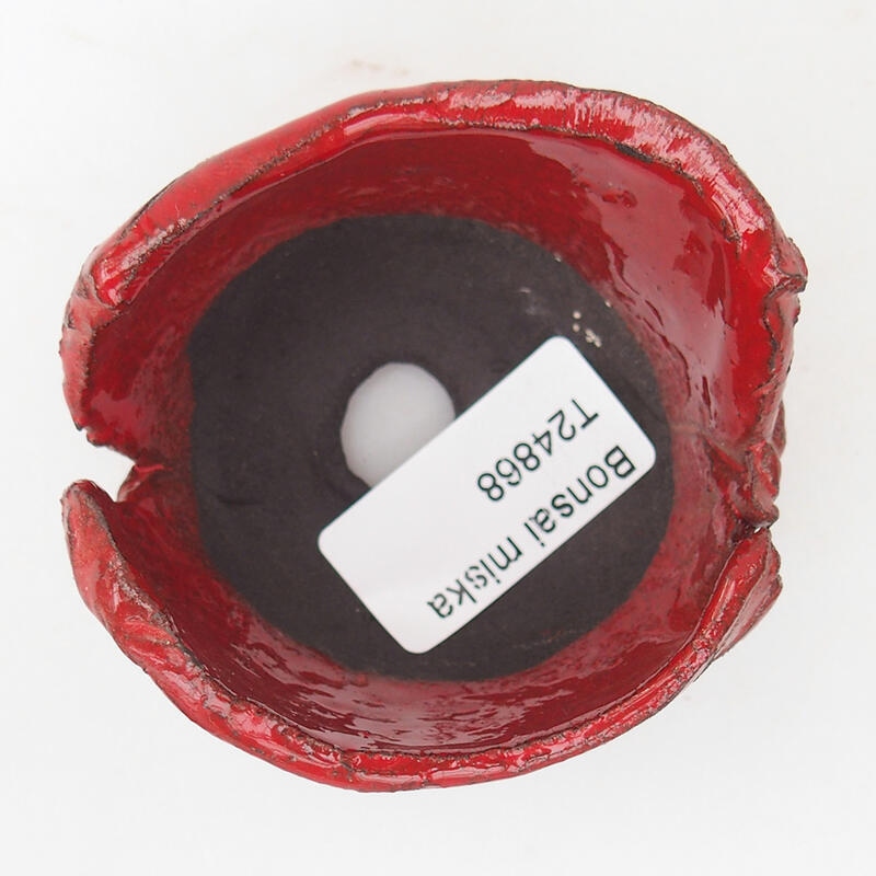 Keramikschale 7 x 7 x 4,5 cm , Farbe rot