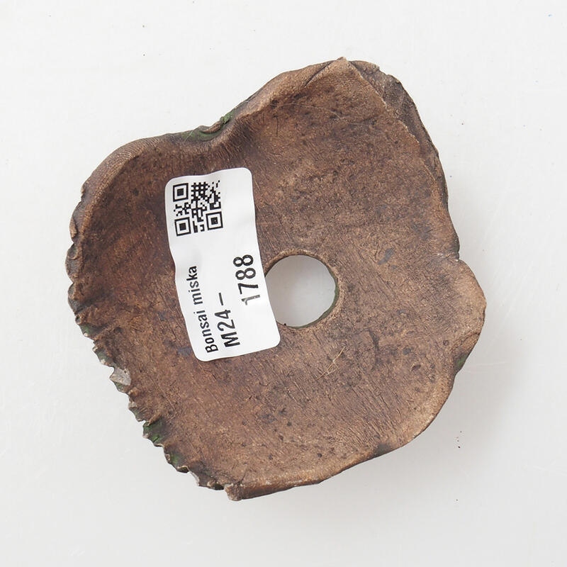 Keramische Muschel 7 x 7 x 4 cm , Farbe grün
