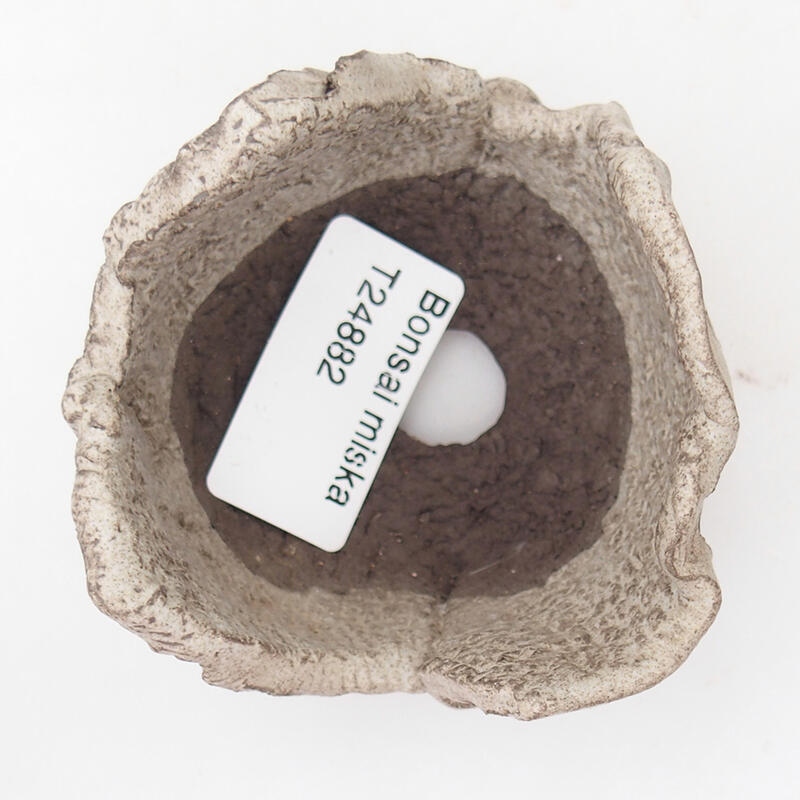 Keramische Muschel 7 x 7 x 5 cm, Farbe grau