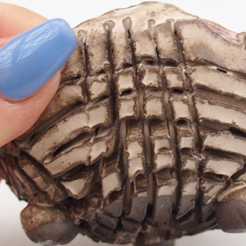 Keramikschale 9 x 8,5 x 5,5 cm , Farbe beige