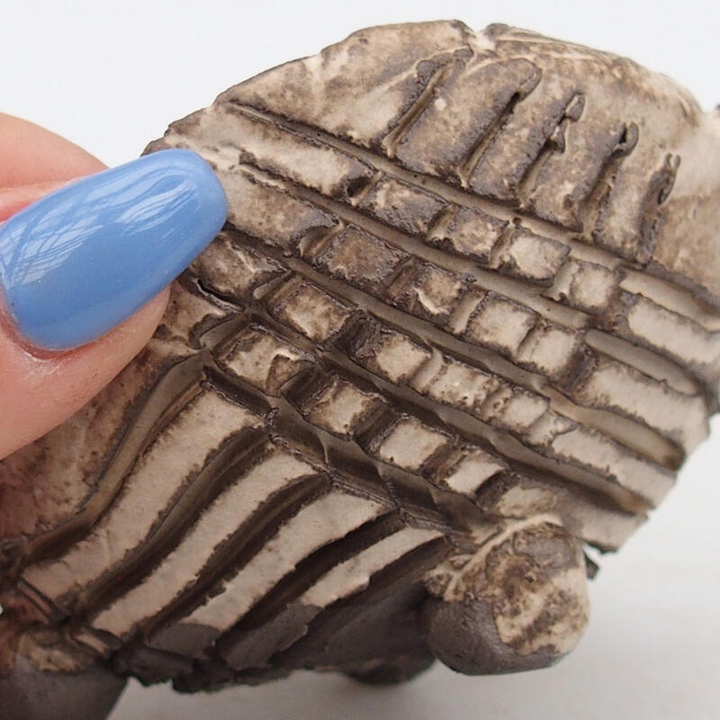 Keramische Schale 9 x 8 x 5,5 cm , Farbe beige