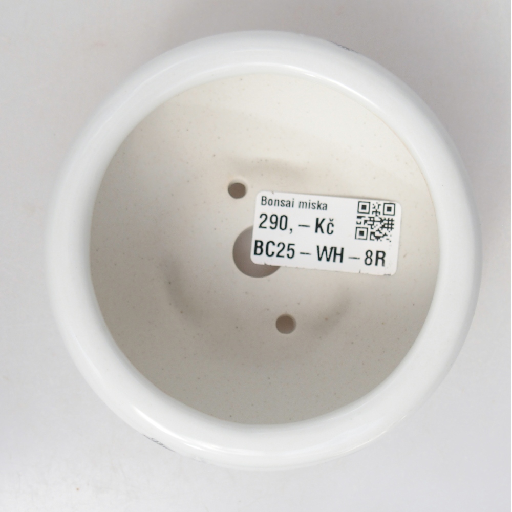 Bonsaischale aus Keramik 10 x 10 x 5 cm, Farbe weiß