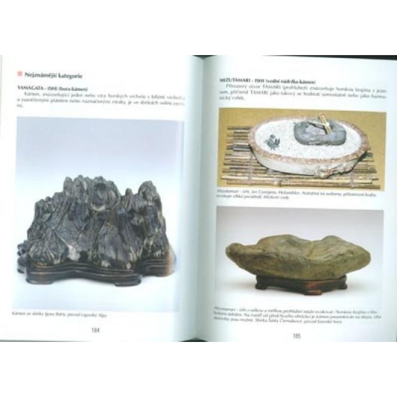 Bonsaibuch nicht nur im Plattenhaus