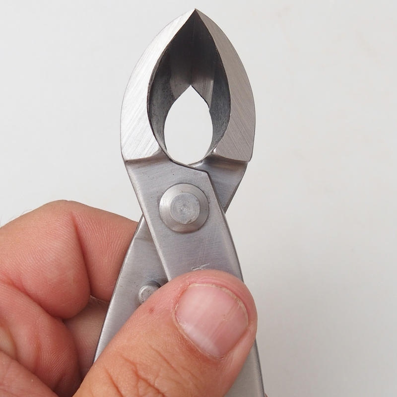 Gewinkelte Konkavzange 210 mm - rostfreier Stahl