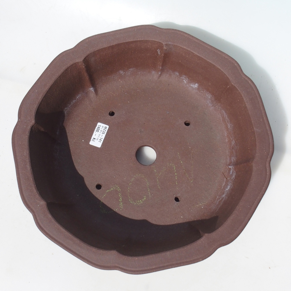 Bonsaischale 38 x 38 x 10,5 cm Birke braun