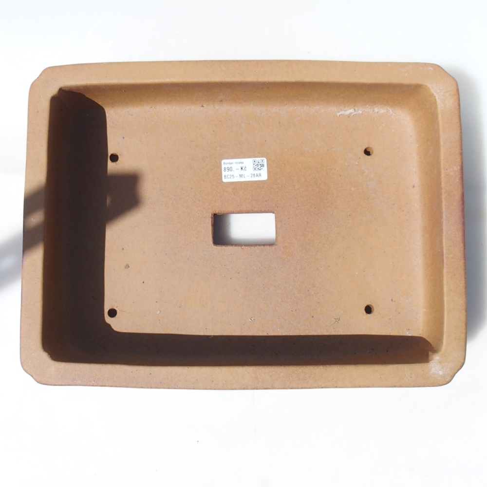 Schale 35 x 26 x 9 cm