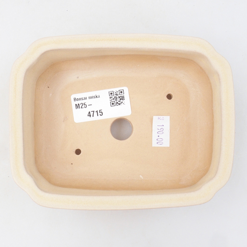 Bonsaischale aus Keramik 14 x 11 x 4 cm, Farbe beige