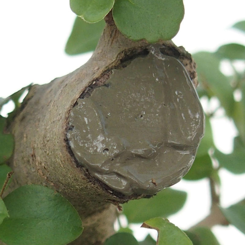 LAC Balsam 385g mit Pinsel