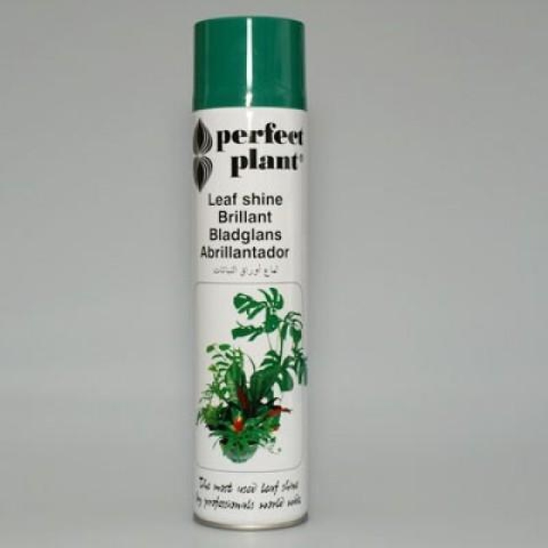 Blattglanz 600 ml