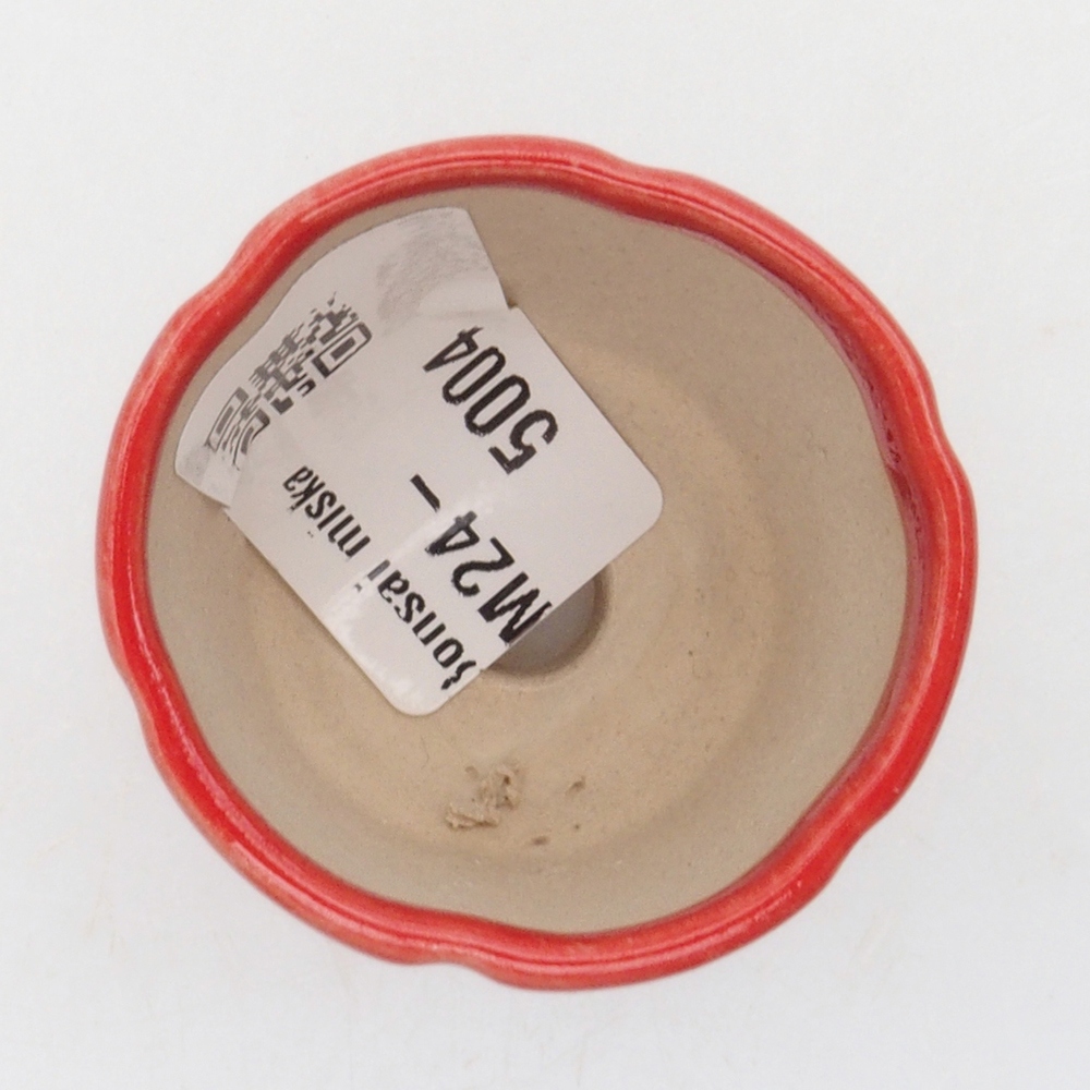 Mini-Bonsaischale 4 x 4 x 4 cm, Farbe rot