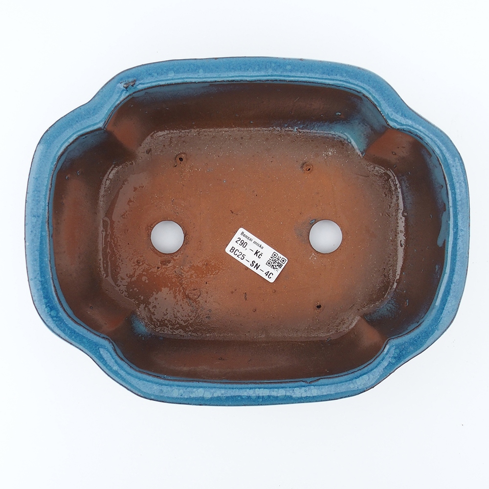 Schale 26 x 20 x 8,5 cm blau