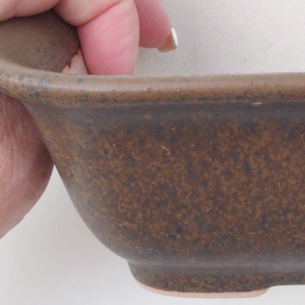 Bonsaischale H38 - 12 x 10 x 5,5 cm - braun