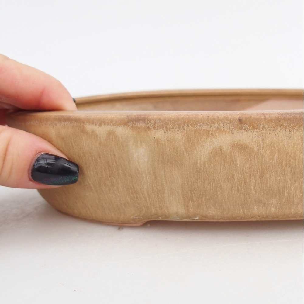 Bonsaischale aus Keramik 22,5 x 17 x 4,5 cm, Farbe beige