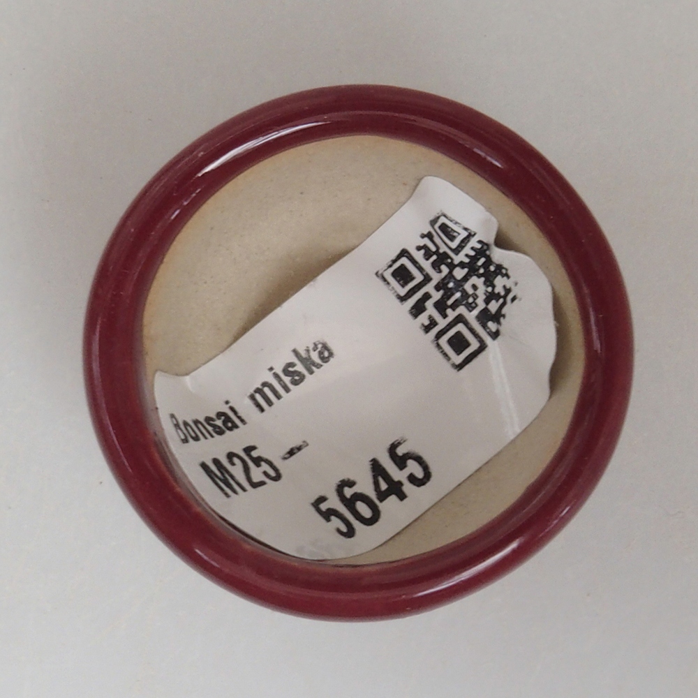Mini-Bonsaischale 3,5 x 3,5 x 2 cm, bordeauxrot