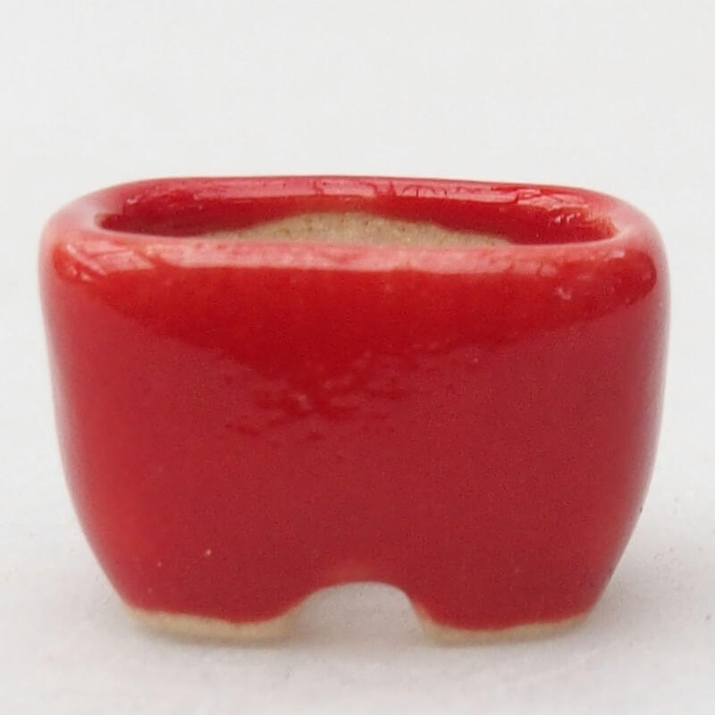 Mini-Bonsai-Schale 1,5 x 1 x 1 cm, Farbe: rot