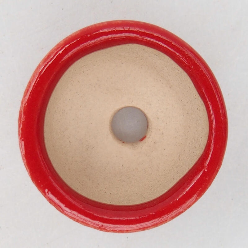 Mini-Bonsaischale 2,5 x 2,5 x 1,5 cm, Farbe rot