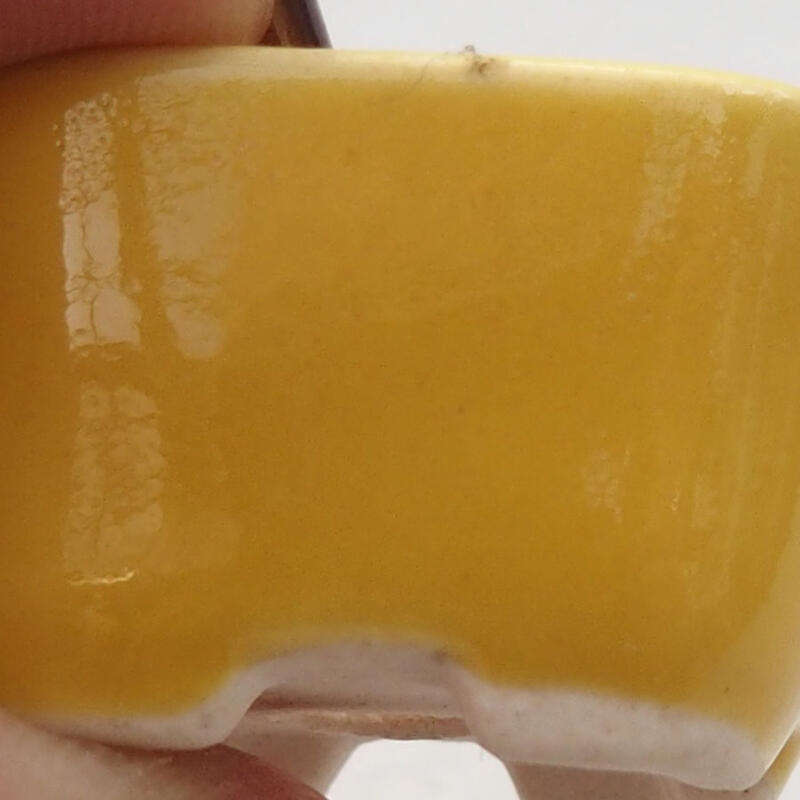 Mini-Bonsaischale 2,5 x 2,5 x 1,5 cm, gelb