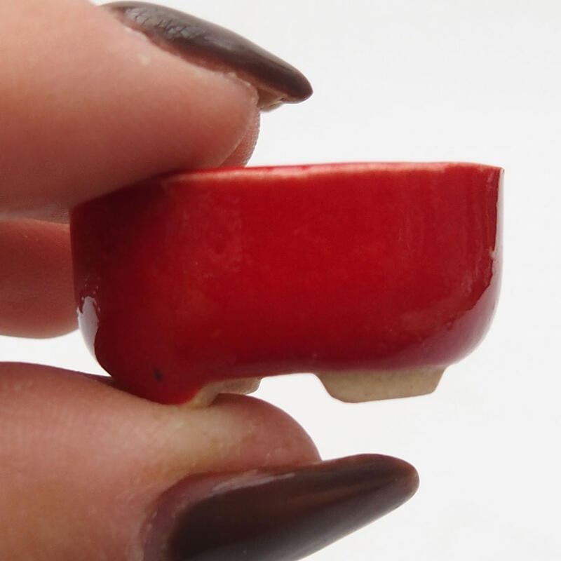 Mini-Bonsaischale 2,5 x 2 x 1 cm, Farbe rot