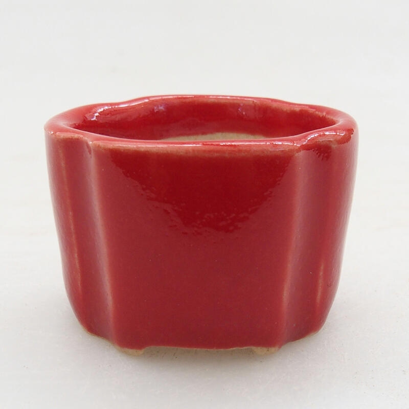Mini-Bonsaischale 3,5 x 3,5 x 2,5 cm, Farbe rot