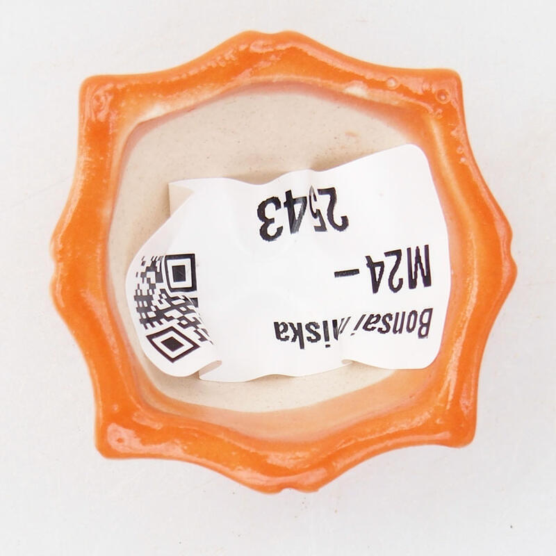 Mini-Bonsaischale 3,5 x 3,5 x 2 cm, orange