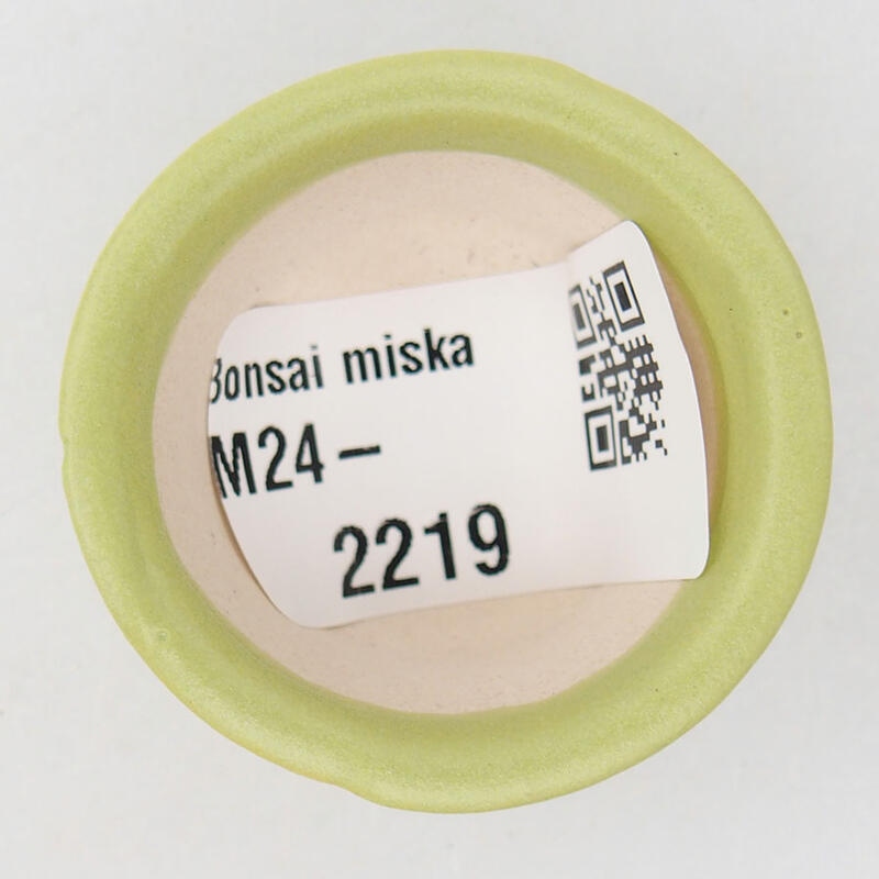 Mini-Bonsaischale 3,5 x 3,5 x 2 cm, grün