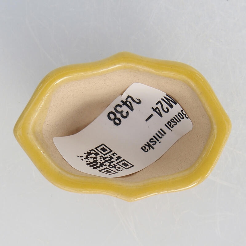 Mini-Bonsaischale 4,5 x 3,5 x 2,5 cm, gelb
