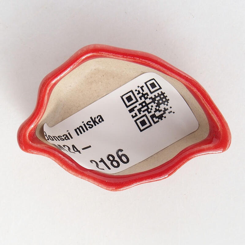 Mini-Bonsaischale 4,5 x 3 x 2 cm, Farbe rot
