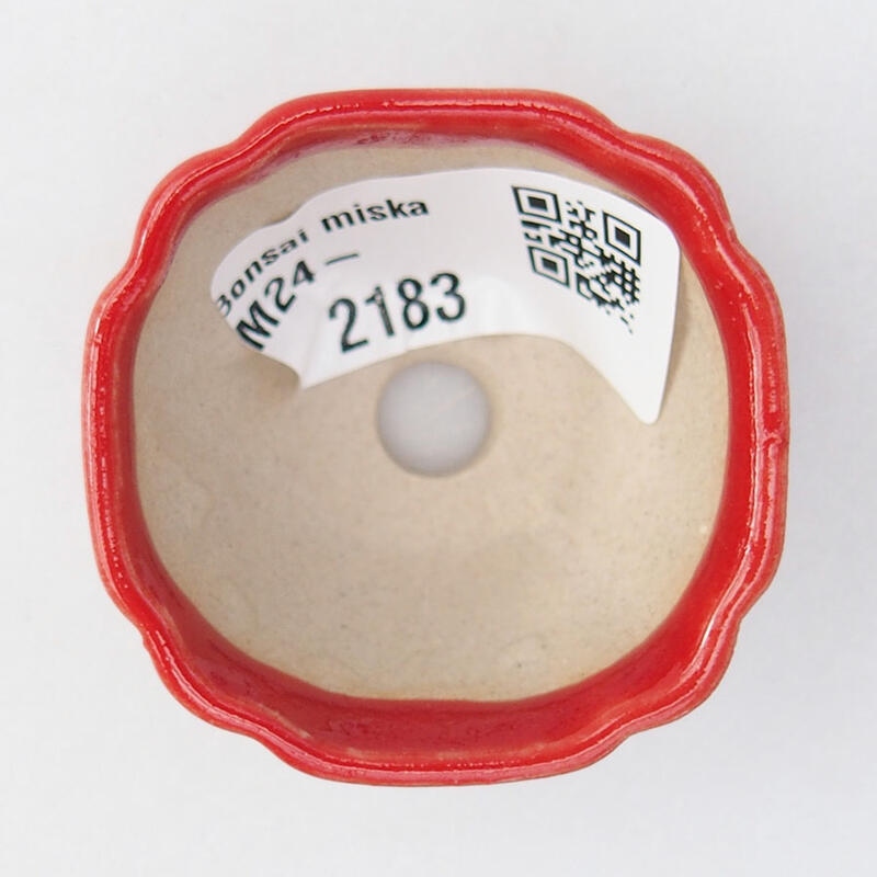 Mini-Bonsaischale 4,5 x 4,5 x 2,5 cm, Farbe rot
