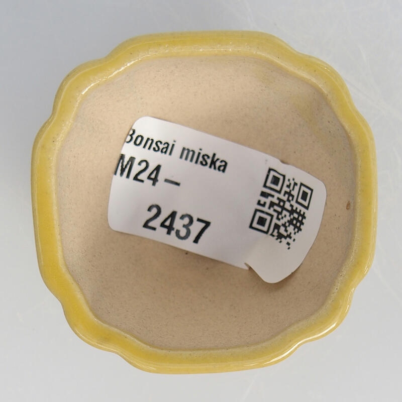 Mini-Bonsaischale 4,5 x 4,5 x 2,5 cm, gelb
