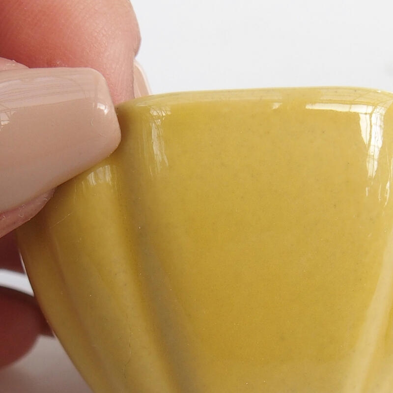 Mini-Bonsaischale 4,5 x 4,5 x 2,5 cm, gelb