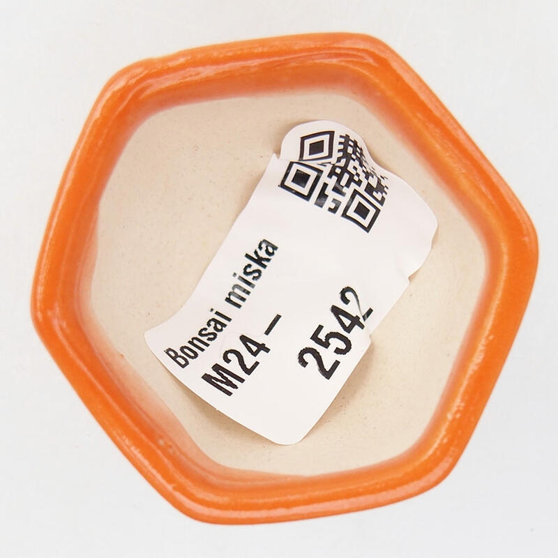 Mini-Bonsaischale 4,5 x 4 x 3 cm, orange